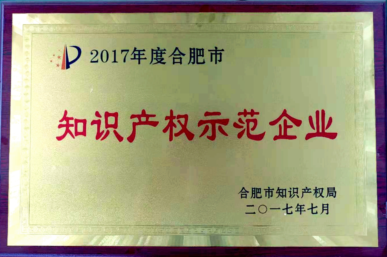 合肥市知識產(chǎn)權示范企業(yè)